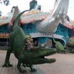 Trinh Bons ở Lục Yên, Đồng Nai - Năng đông