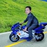 Tran Nam Profile Picture