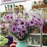 Trái Tim H ở Krông Búk, Đắk Lắk - Hòa đồng ít nói