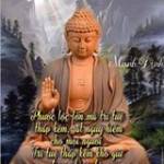 Thế Giới Bao La - tim ban trai da ly hon qua so dien thoai