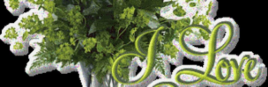 Hoang Ky Cover Image