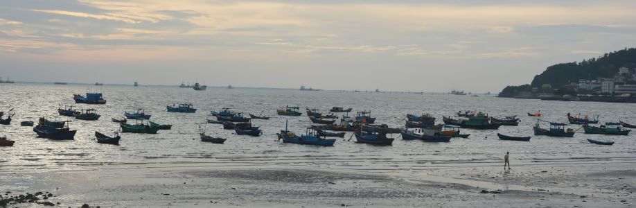 Tony Tuấn Cover Image