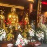 Xương Rồng ở ,  - 