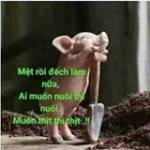 Nhoc Cô Đơ ở Hiệp Hòa, Bắc Giang - Trần tuan tú