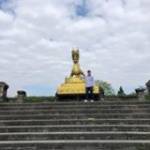 Thông Minh Lanh Lợi Profile Picture