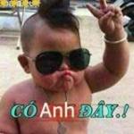 Chim Phi ở Thủ Đức, TP Hồ Chí Minh - Thich kb lam quen