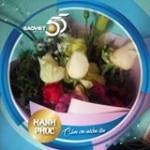 Năm Hiền ở ,  - 