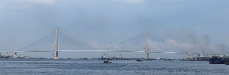 Nguyen Tuan Cover Image