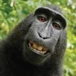 Tung Nguyễ ở Gò Vấp, TP Hồ Chí Minh - Thích chat sex qua zalo 033876