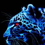 Nguyễn Min ở Thủ Đức, TP Hồ Chí Minh - Chân thành và giản dị