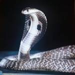 Kiệt Châu ở ,  - 