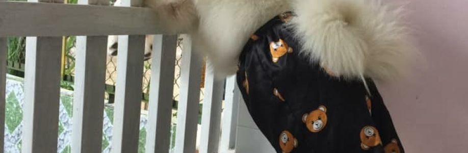 Ức Kí Cover Image