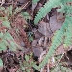 Anh Thế ở Lộc Ninh, Bình Phước - Tìm ce cô đơn có nhu cầu cao, 