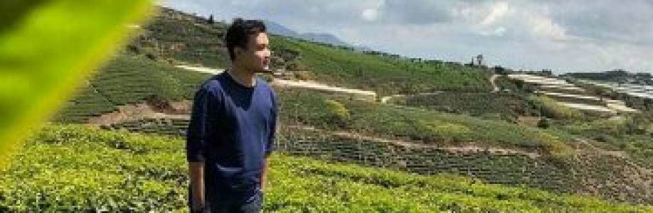 Dương Danh Cover Image