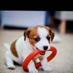 Minh Tuan ở Bắc Bình, Bình Thuận - vui vẻ hoà đồng nt tìm hiểu nh