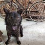 Võ Nhân ở Thạnh Phú, Bến Tre - Mình 27tuôi. Mình thì đon gian