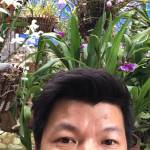 Chung Nguyen Thanh Profile Picture