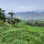 Nguyễn Văn ở Hà Đông, Hà Nội - Đơn giản, chân thành