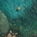 Bảo Gia ở Quận 7, TP Hồ Chí Minh - Một người vui vẻ là người của 