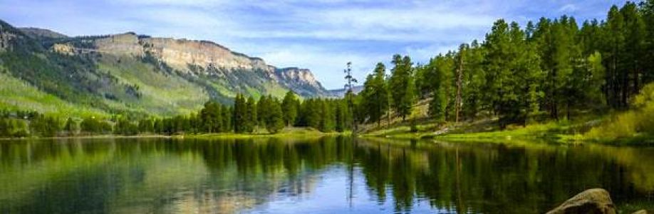 Đặng Thị Hoàng Phương Cover Image