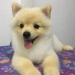 Keanu ở Quận 1, TP Hồ Chí Minh - Đơn giản,thẳng tính và lạc qua