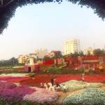 Huu phan - tim ban trai da ly hon qua so dien thoai