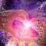 Nakito Vi ở Cầu Giấy, Hà Nội - Hoa dong