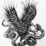 Tran Cậu B ở ,  - 