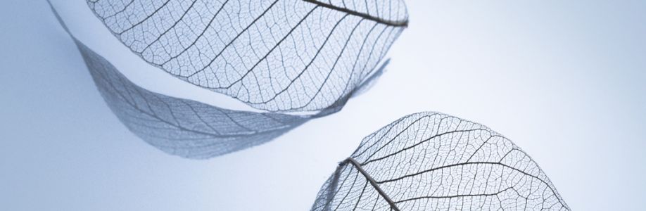 Trần Tín Cover Image