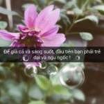 Vũ Đình Bảo Bảo - tim ban trai da ly hon qua so dien thoai