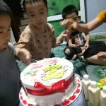 Chien ở Phúc Thọ, Hà Nội - Nguoi gây nhung ko nghiện