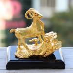 duongtuyen ở Thái Nguyên, Thái Nguyên - sốnghòa đồng cùng mọi người