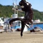 Lan Phương - tim ban trai da ly hon qua so dien thoai