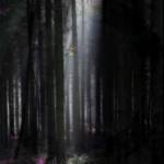 Lâm Nhật L ở Quận 3, TP Hồ Chí Minh - Sẽ nói sau