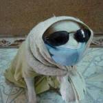 nguyenquoc ở Quận 8, TP Hồ Chí Minh - khong co