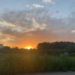 WOLFX ở Ba Đình, Hà Nội - Nothing