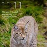 The Cu ở Thuận An, Bình Dương - Ít nói nhưng rất dễ triệu