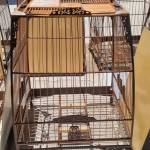 Trần Xuân  ở Nam Từ Liêm, Hà Nội - Tìm người đặc biệt