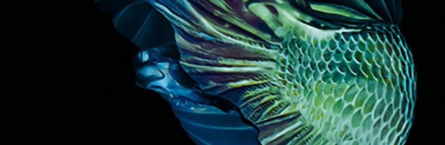 Trần Phong Cover Image