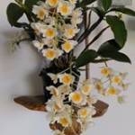 Thế Hoàng - tim ban trai da ly hon qua so dien thoai