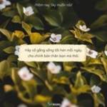 Gat Đi Qua ở Thủ Đức, TP Hồ Chí Minh - tự tin khi quen bn nữ