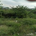 Hoàng Profile Picture