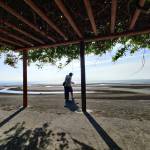 Nguyễn tuan Profile Picture