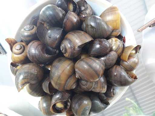 Rocket - ly dị chồng & tìm bạn trai ở Vĩnh Long