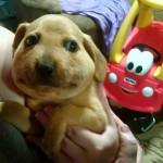 bằng phi ở Biên Hoà, Đồng Nai - dễ gần & hơi lầy chút