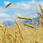 Nhân Sông ở ,  - 