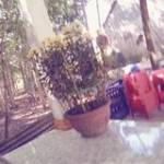 Trắng Làng ở ,  - 