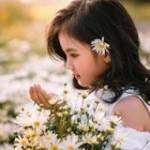 Xí Muôị ở ,  - 