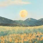 homie ở Bình Thạnh, TP Hồ Chí Minh - =))))