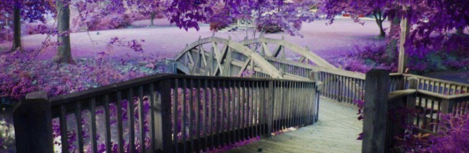 Moon Lê Cover Image